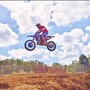 Buddscreek 2018